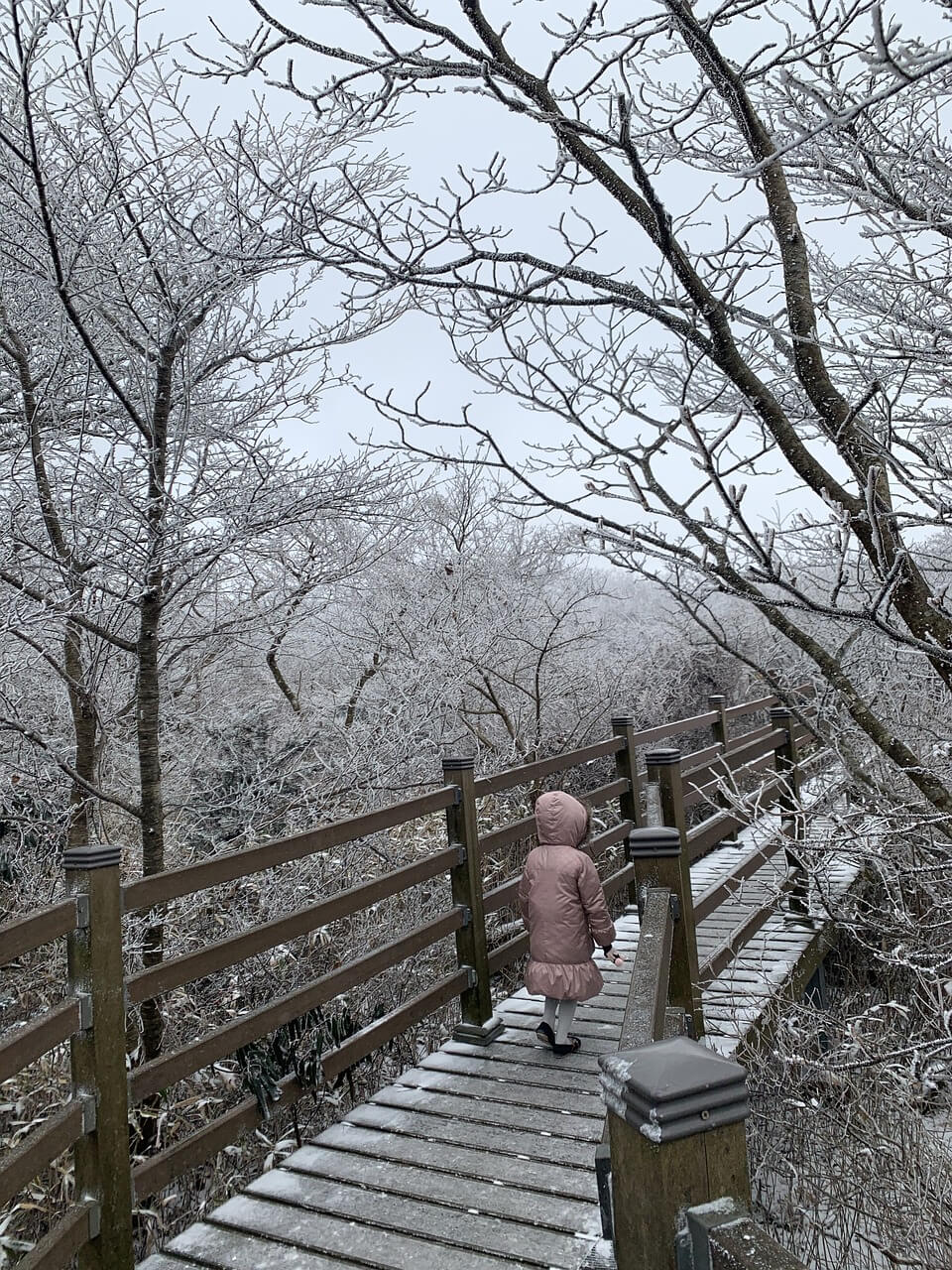 제주 한라산 등산 가능 날짜 확인법 및 실시간 정보