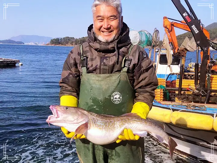 대구 요리 한상 오션뷰 횟집 맛집 해금강 제트보트 일출 명소 여행 거제 가볼만한 곳 추천 생방송투데이 오늘방송 보고 먹고 즐기고 3GO