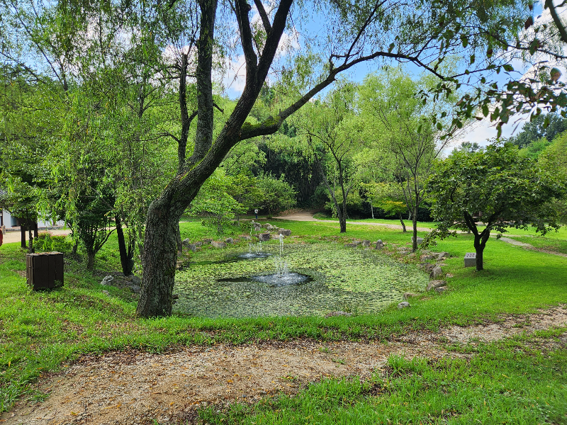 담양 죽녹원
