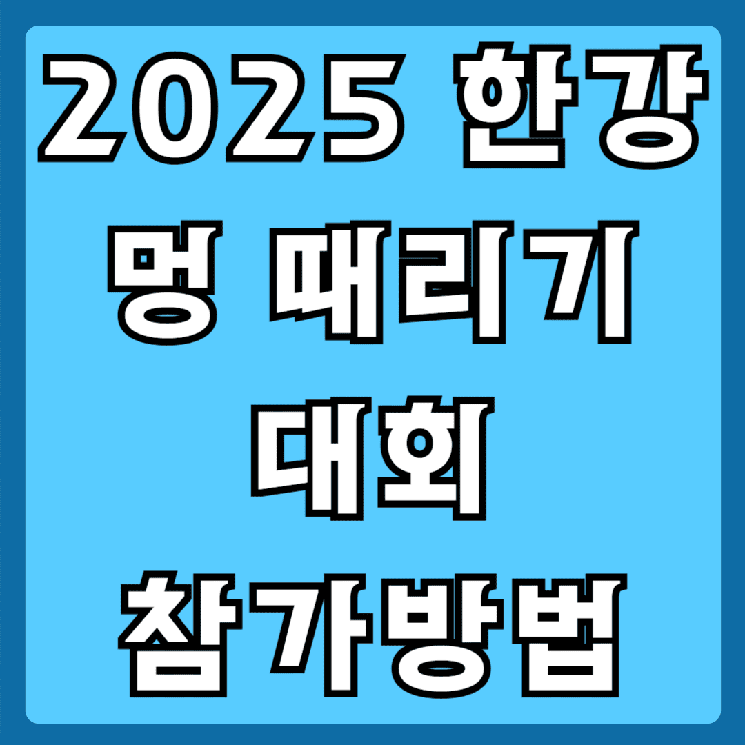 2025 한강 멍때리기 대회 참가방법