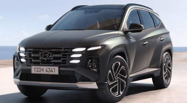 돼지띠 신년운세