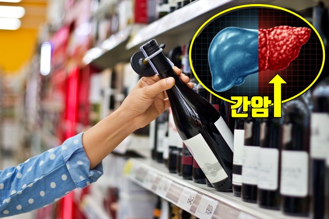 암이 좋아하는 음식,술 암유발 음식