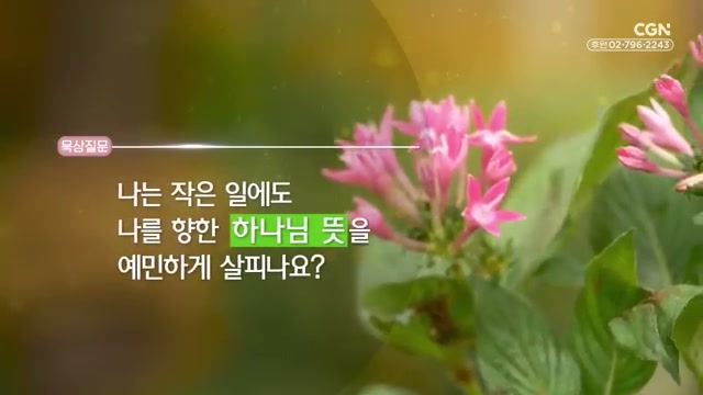 나는 작은 일에도 나를 향한 하나님 뜻을 예민하게 살피나요?
