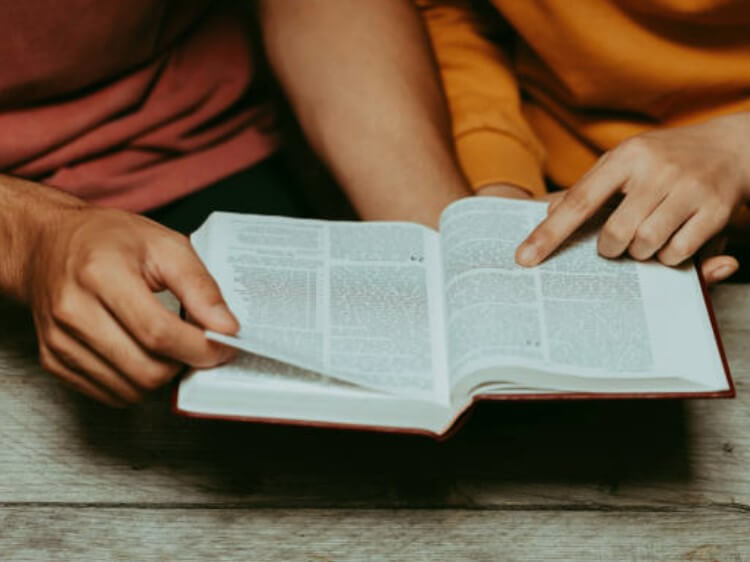 책을주는꿈 책을주는꿈해몽