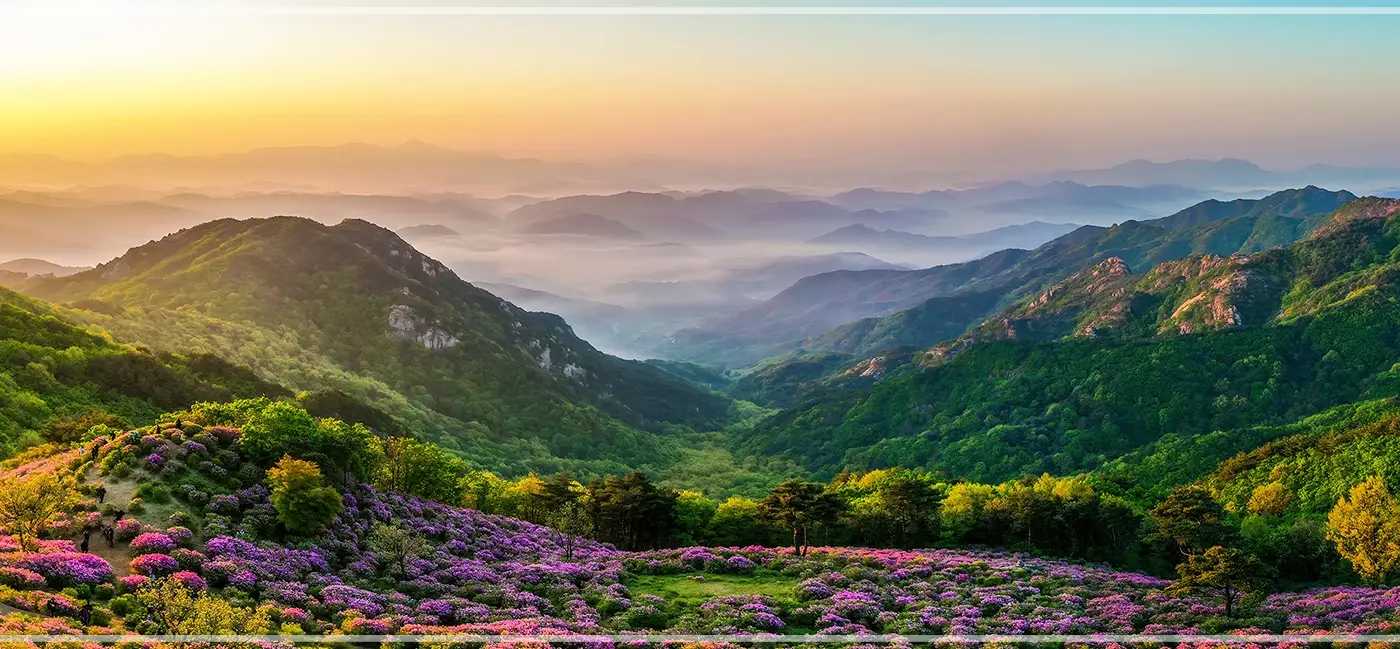 황매산-철쭉축제-기간-일정-정보