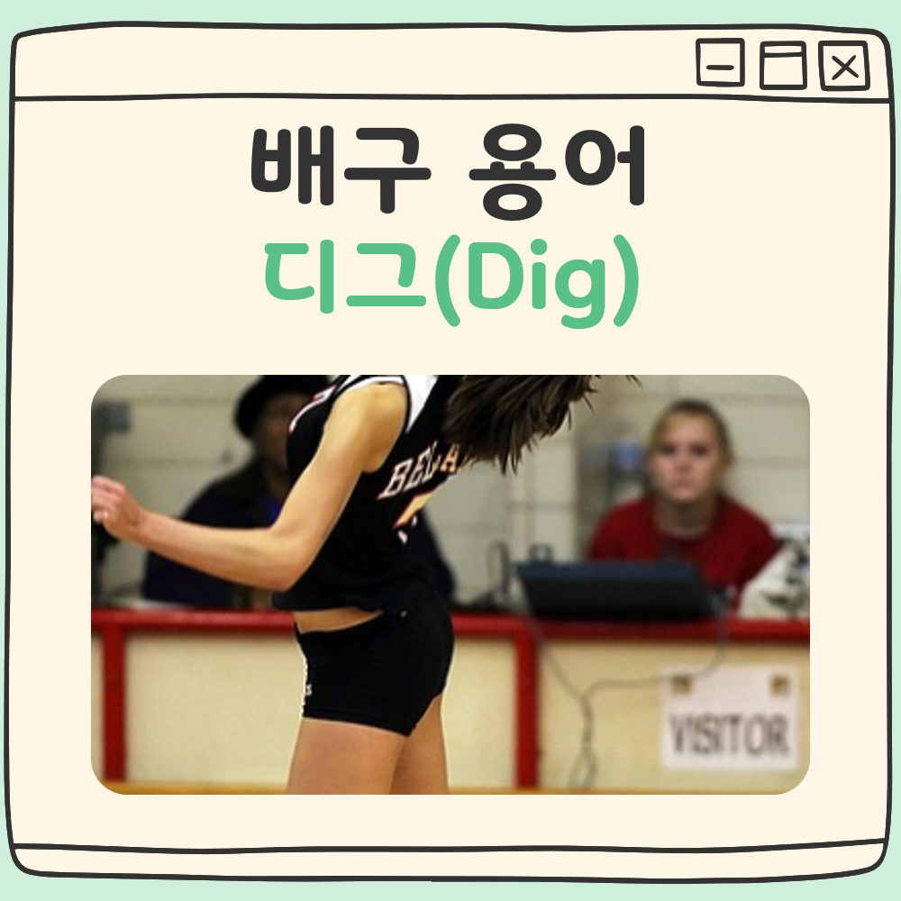 배구에서 디그란 대표 이미지