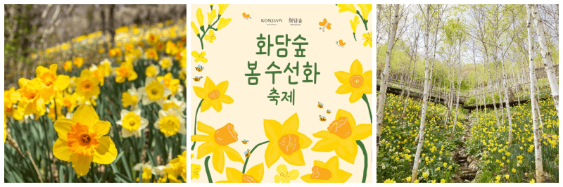 화담숲 봄 수선화 축제 포토, 포스터
