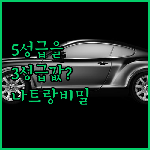 5성급을 3성급 가격으로 누리는 나트..