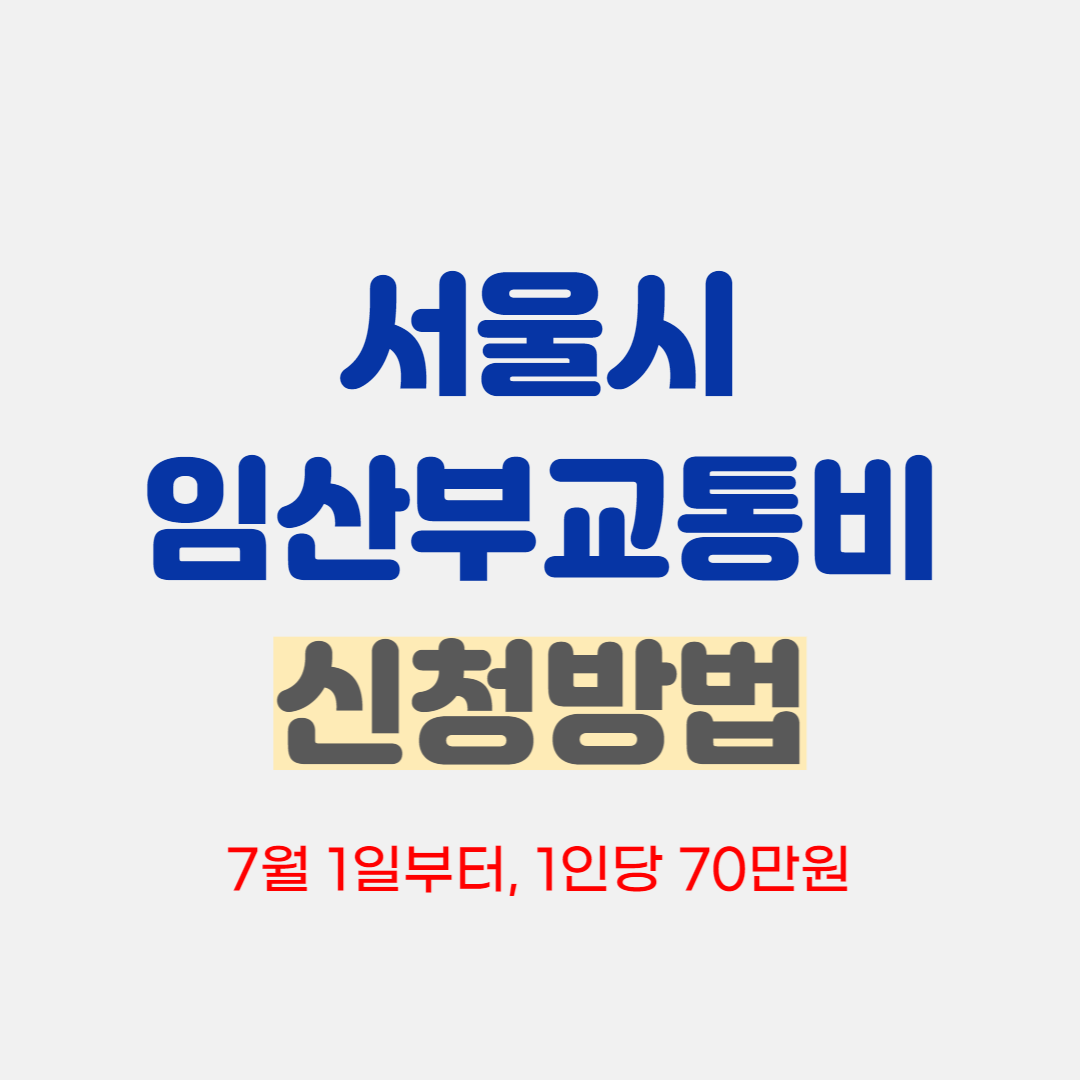 임산부교통비지원