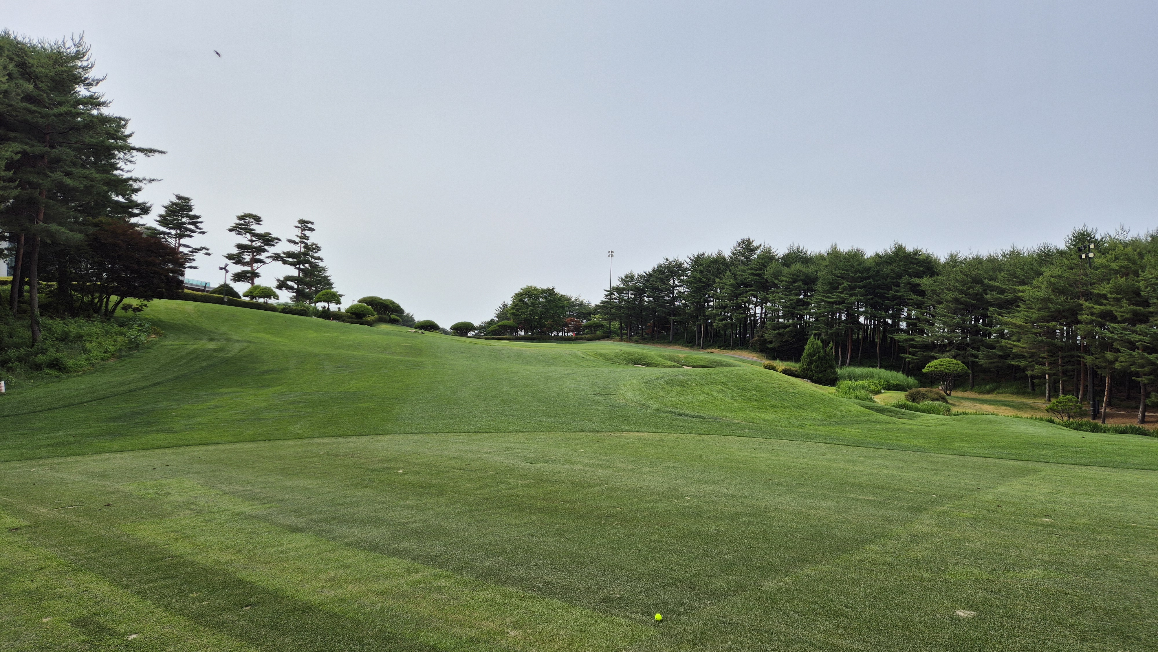 파인리즈cc 후기 및 코스사진