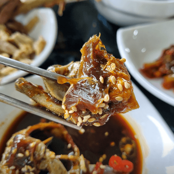 [6시 내고향] 순천 닭장 닭구이 백숙 매운탕 맛집 상사맛집 하마가든 