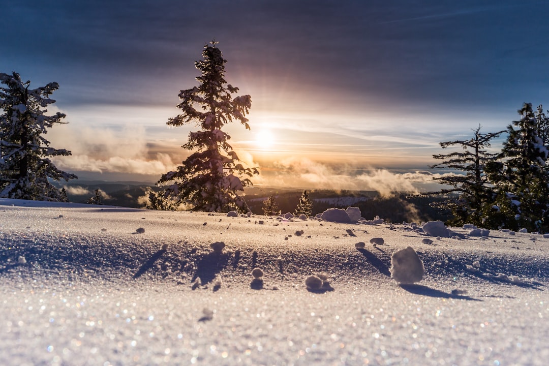 Snow removal.