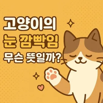 &amp;quot;고양이