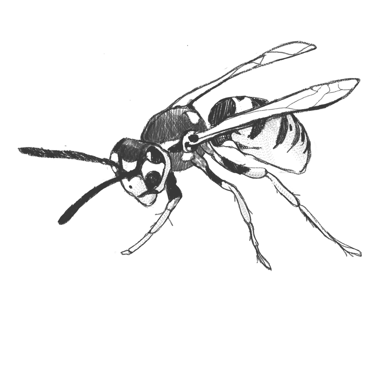 드로잉과 스케치: 아날로그에서 디지털로