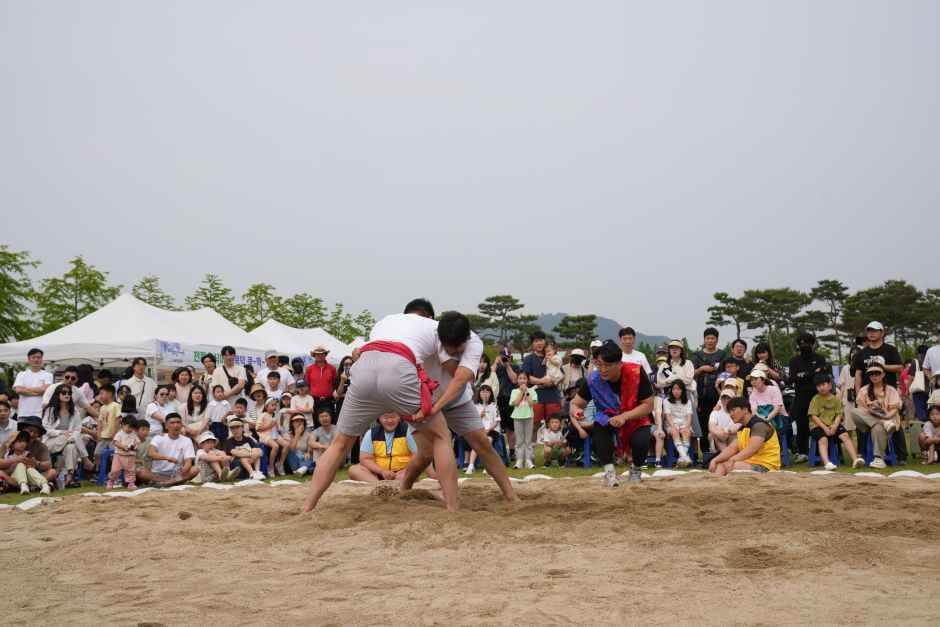 세종단오제