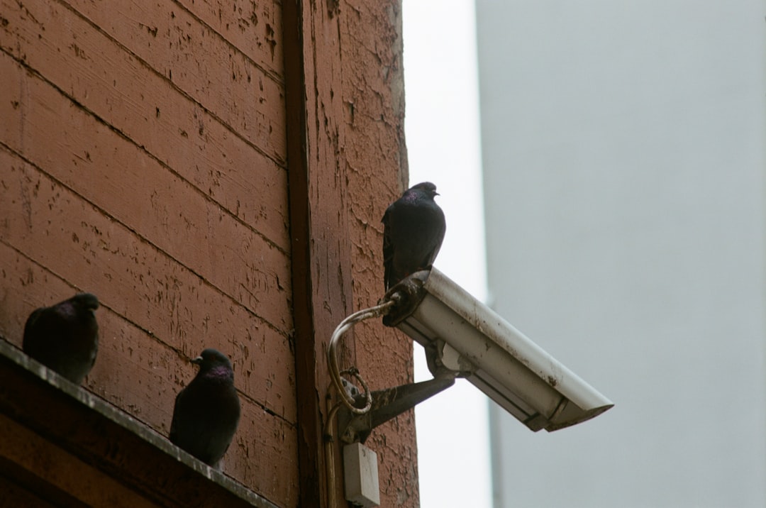 Privacy