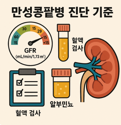만성콩팥병 진단 기준에 대한 정확한 이해와 검사 해석 방법