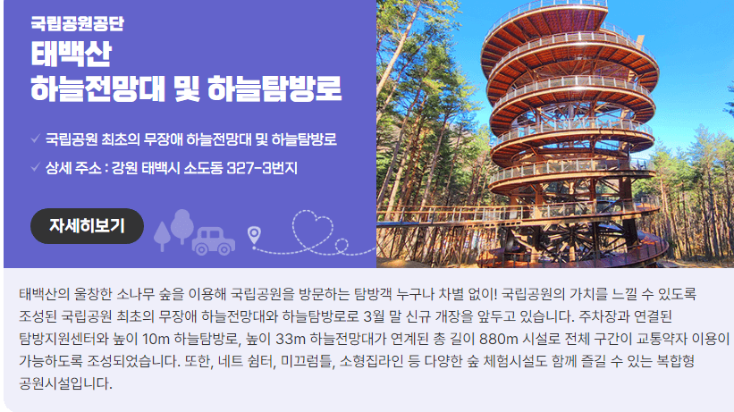 태백산-하늘전망대-하늘탐방로