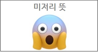 미저리 뜻