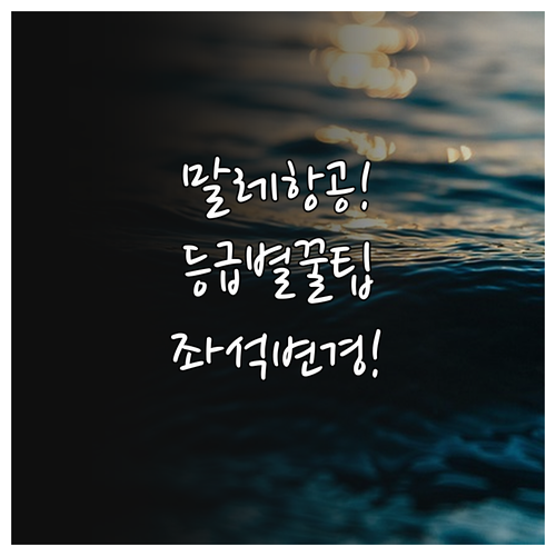 말레이시아 항공 운임 등급별 좌석 지..