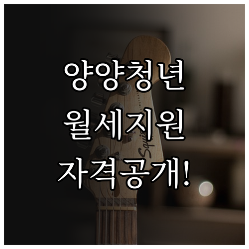 양양군 독립 가구 청년 월세 지원금 ..