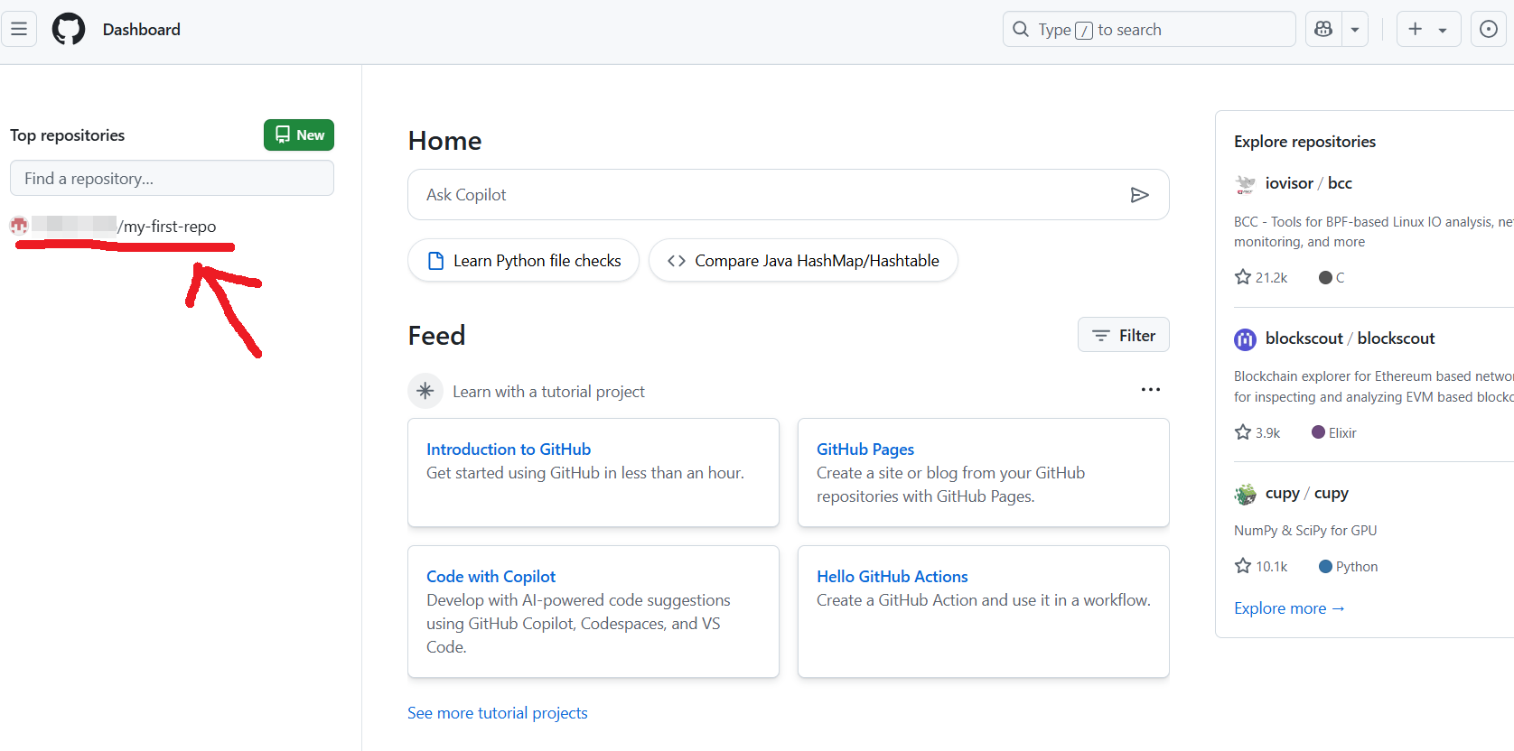 GitHub 저장소 목록 화면 일부