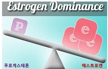 에스트로겐 우위 현상