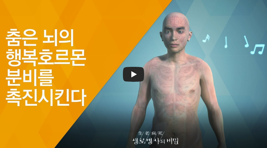 춤테라피 스트레스해소법 정신건강관리 우울증극복 코르티솔낮추는법