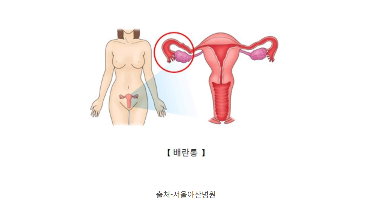 주요 증상들