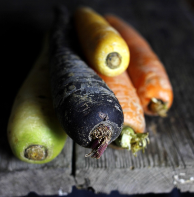 비건 식단, 왜 시작하는 걸까? — 윤리·건강·환경 관점