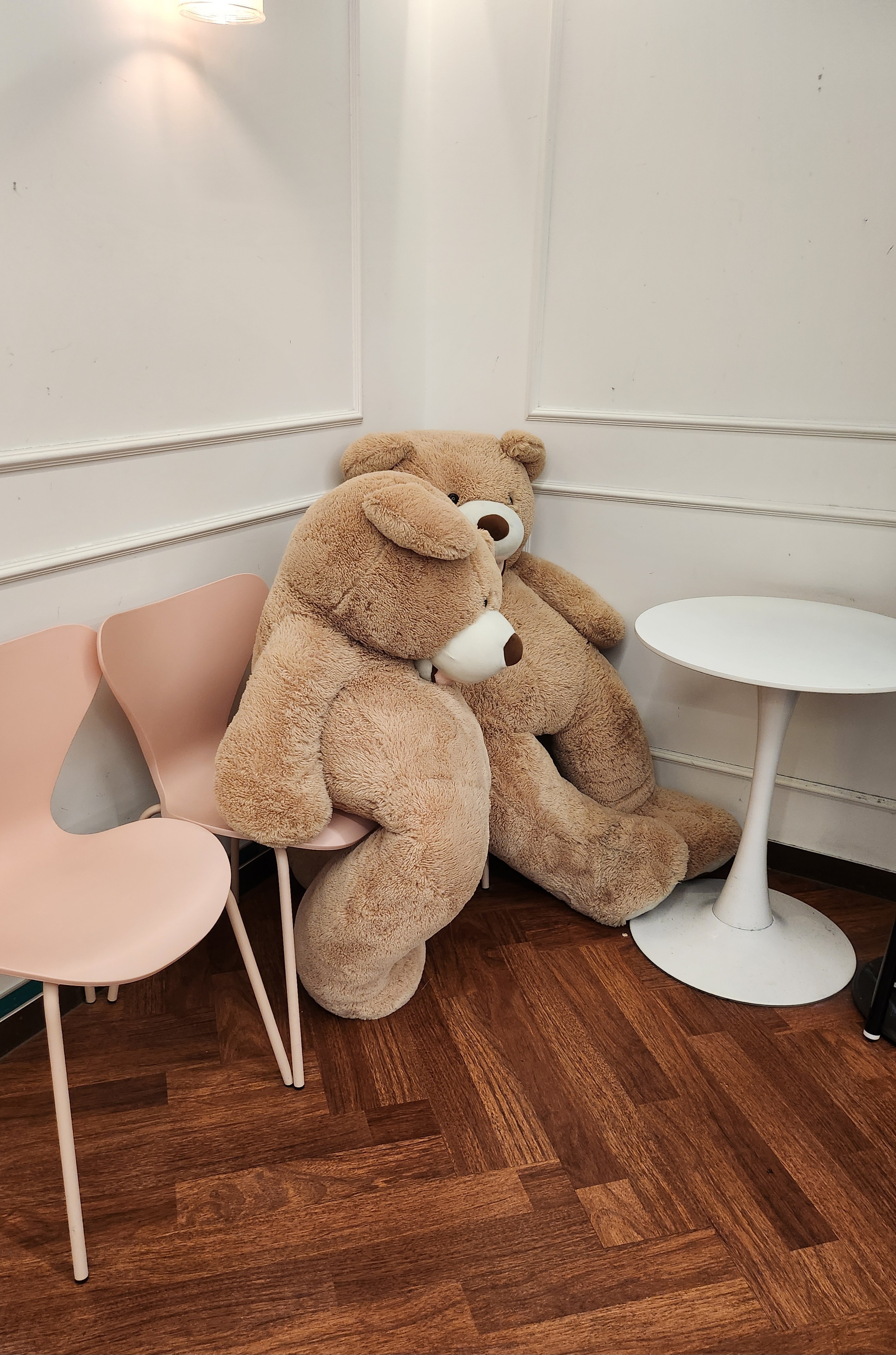 보드스테이지 곰돌이 사진