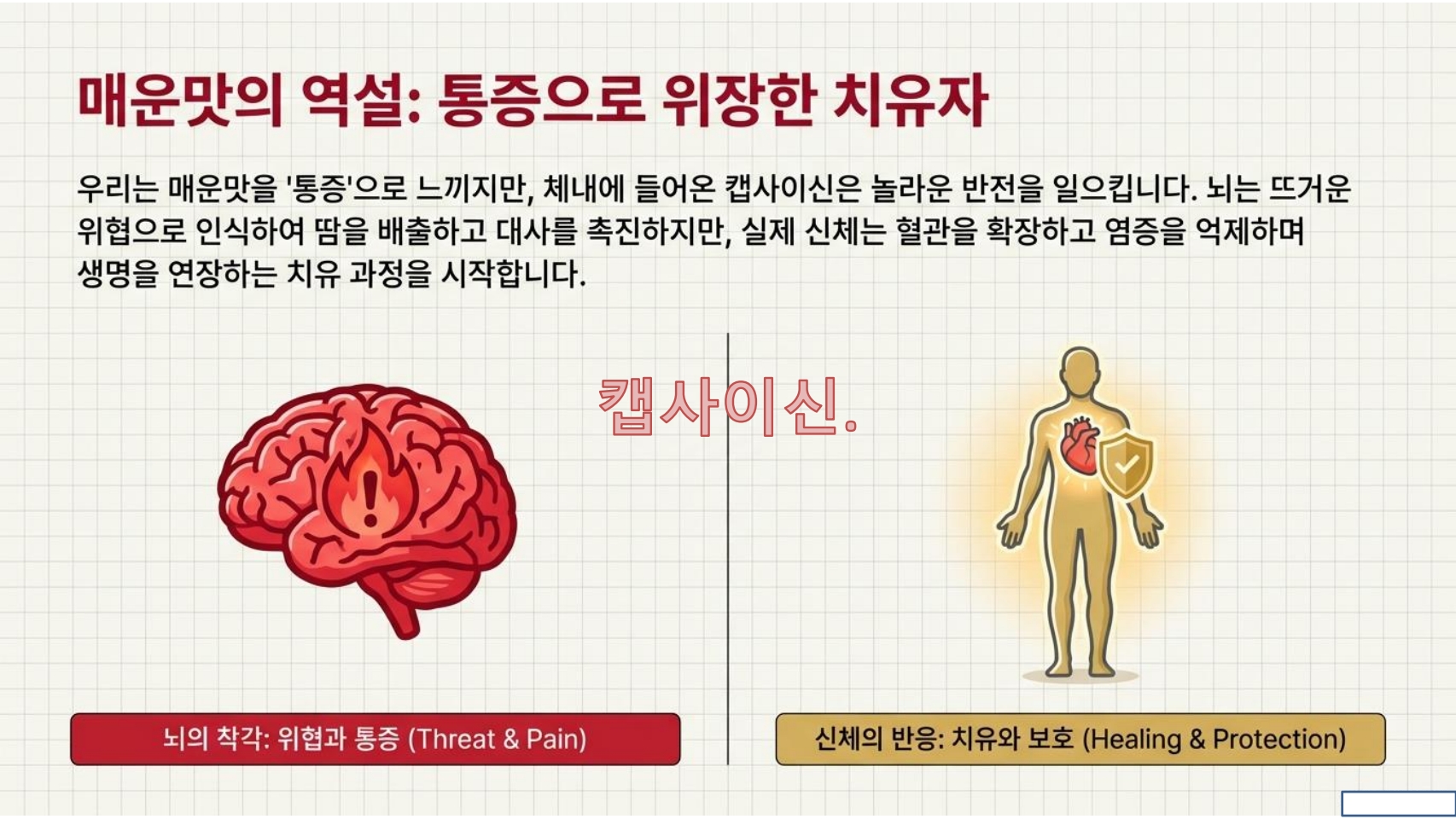 고추가루 항산화,과학적 효능