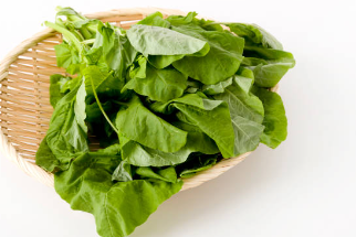 깻잎순볶음