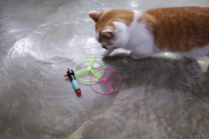 프로펠러장난감