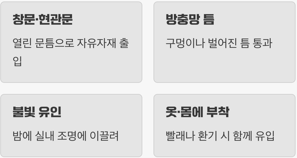 불청객이 드나드는 비밀 통로
