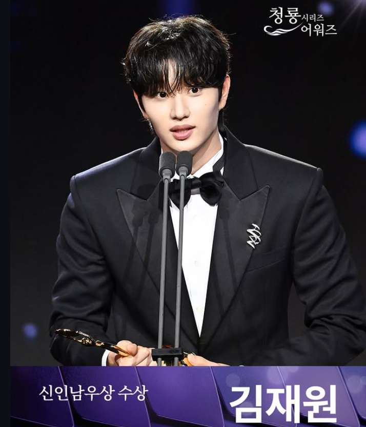 청룡 시리즈 어워즈