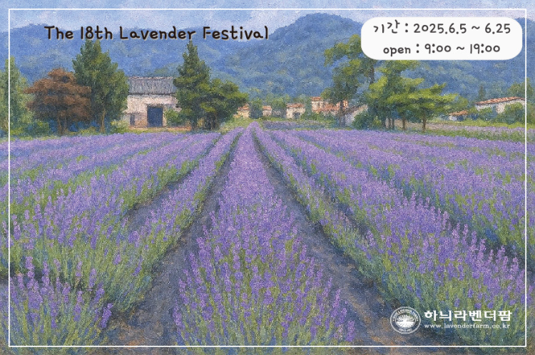 하늬라벤더팜의 라벤더 축제 공지 사진