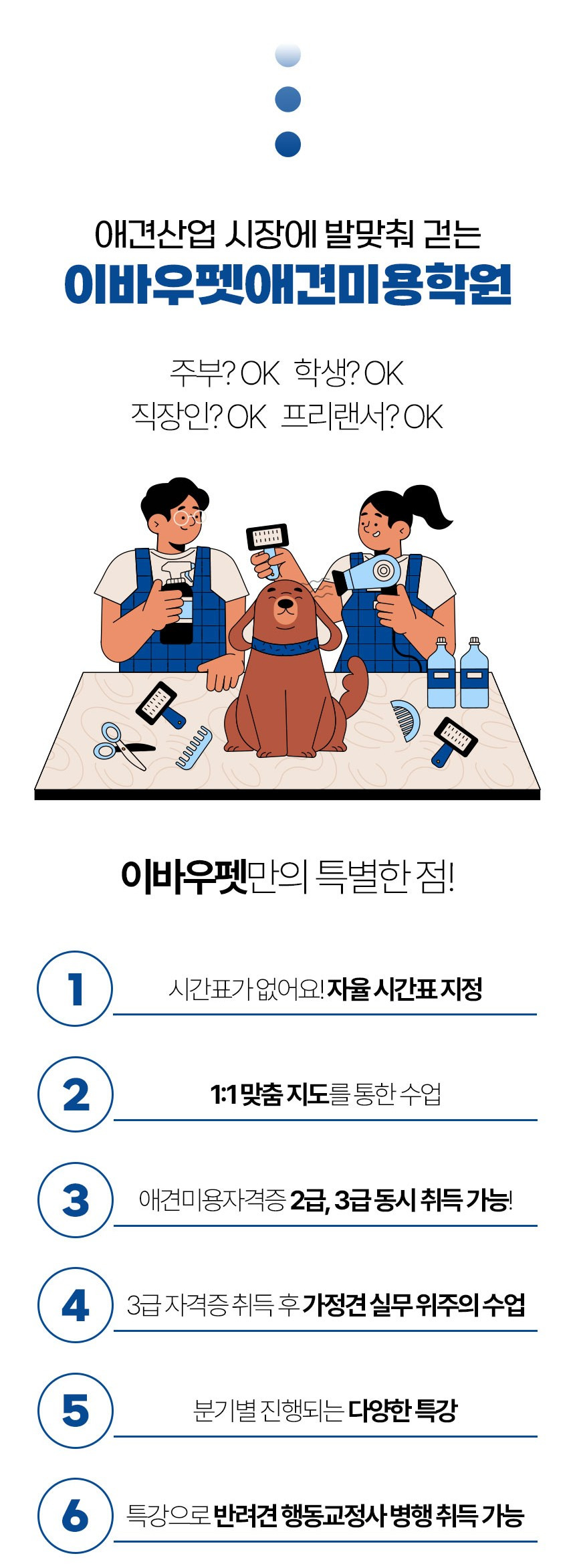 강남애견미용학원국비