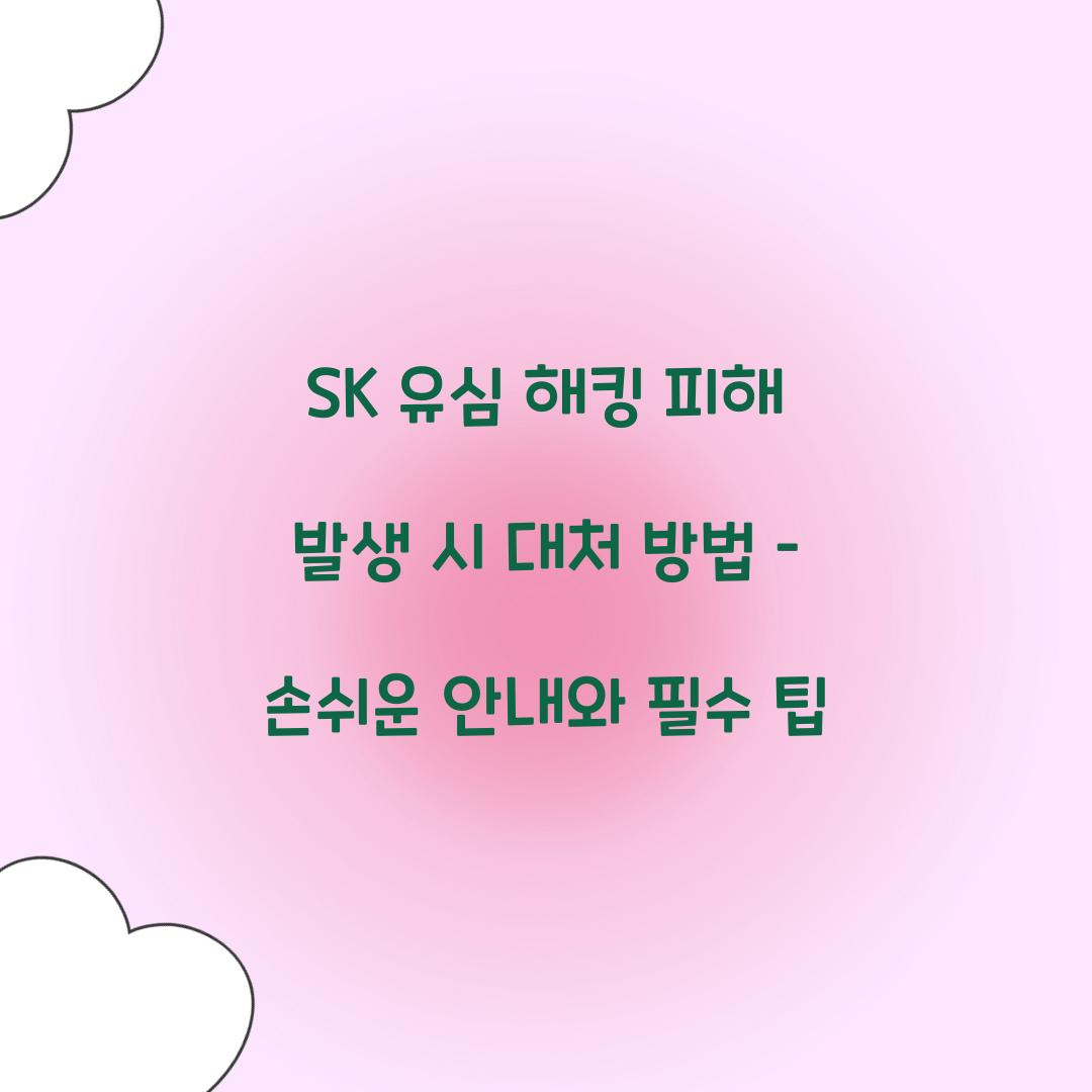 SK 유심 해킹 피해 발생 시 대처 방법