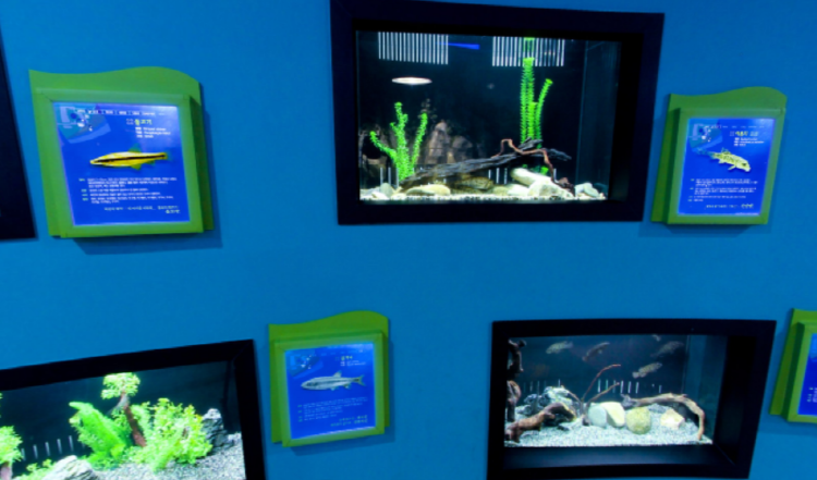 단양 아쿠아리움