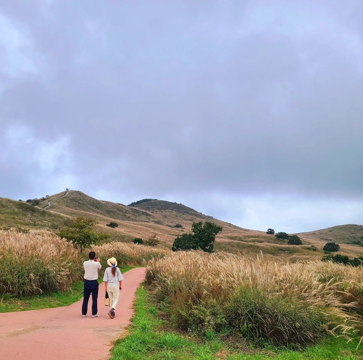 황매산 억새축제기간