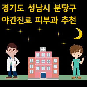 성남시 분당구 야간진료 피부과 병원 추천