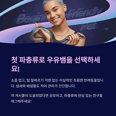 파충류 입문자에게 가장 이상적인 선택