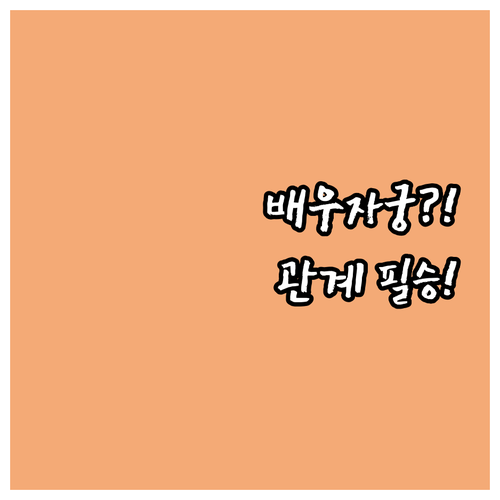 배우자궁 일지 십성으로 보는 나의 결..