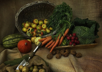 농작물 저장 방법