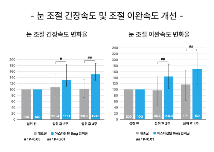 솔티스 눈 프로텍션 프로 후기, 가격, 효능, 먹는법