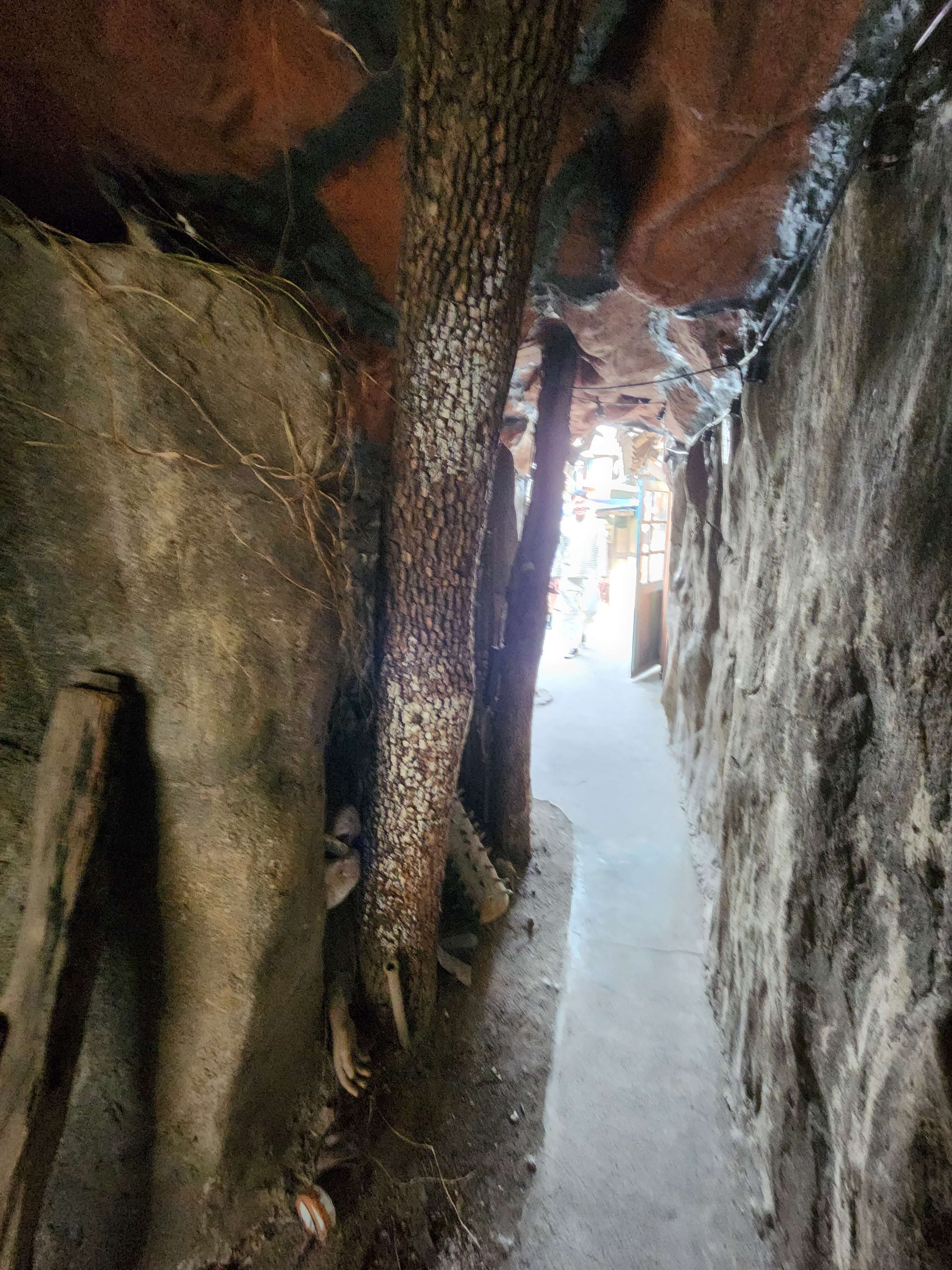 전주 애견동반 갈만한 곳 전주난장