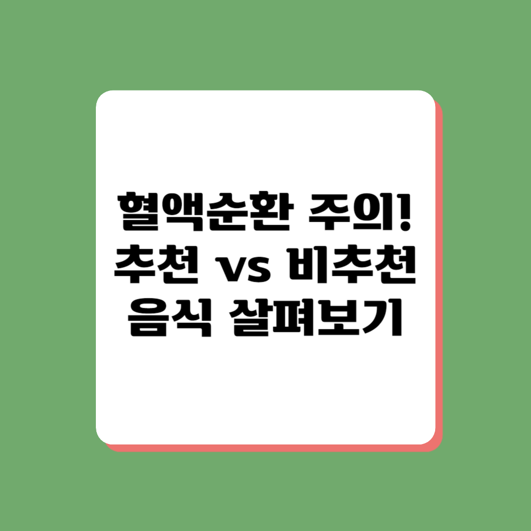 혈액순환 추천 음식