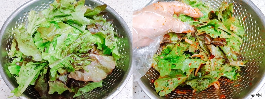 상추-겉절이-만드는법-상추-겉절이-양념장-황금레시피