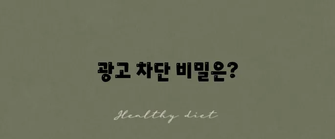 아이폰 사파리에서 광고차단에 영향을 미치는 요소를 알아보자